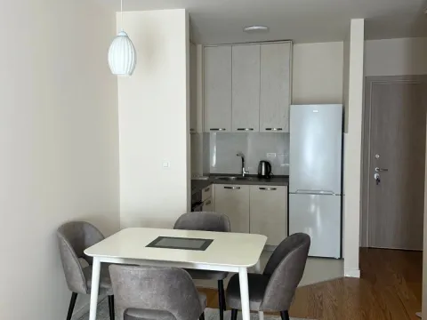 Rent, one bedroom apartment, 43m², Central Point, Podgorica - image 7