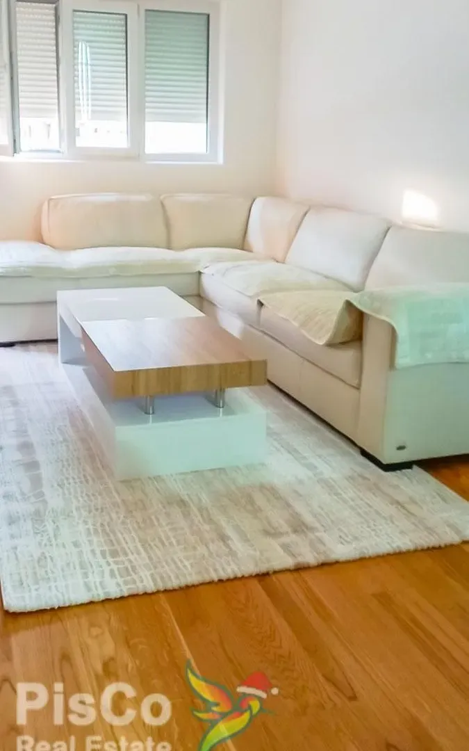 Izdavanje, jednosoban stan, 47m², Central Point, Podgorica