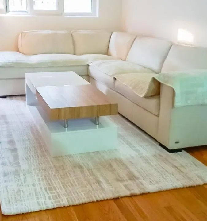 Izdavanje, jednosoban stan, 47m², Central Point, Podgorica