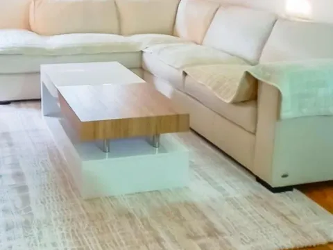 Izdavanje, jednosoban stan, 47m², Central Point, Podgorica - image 1