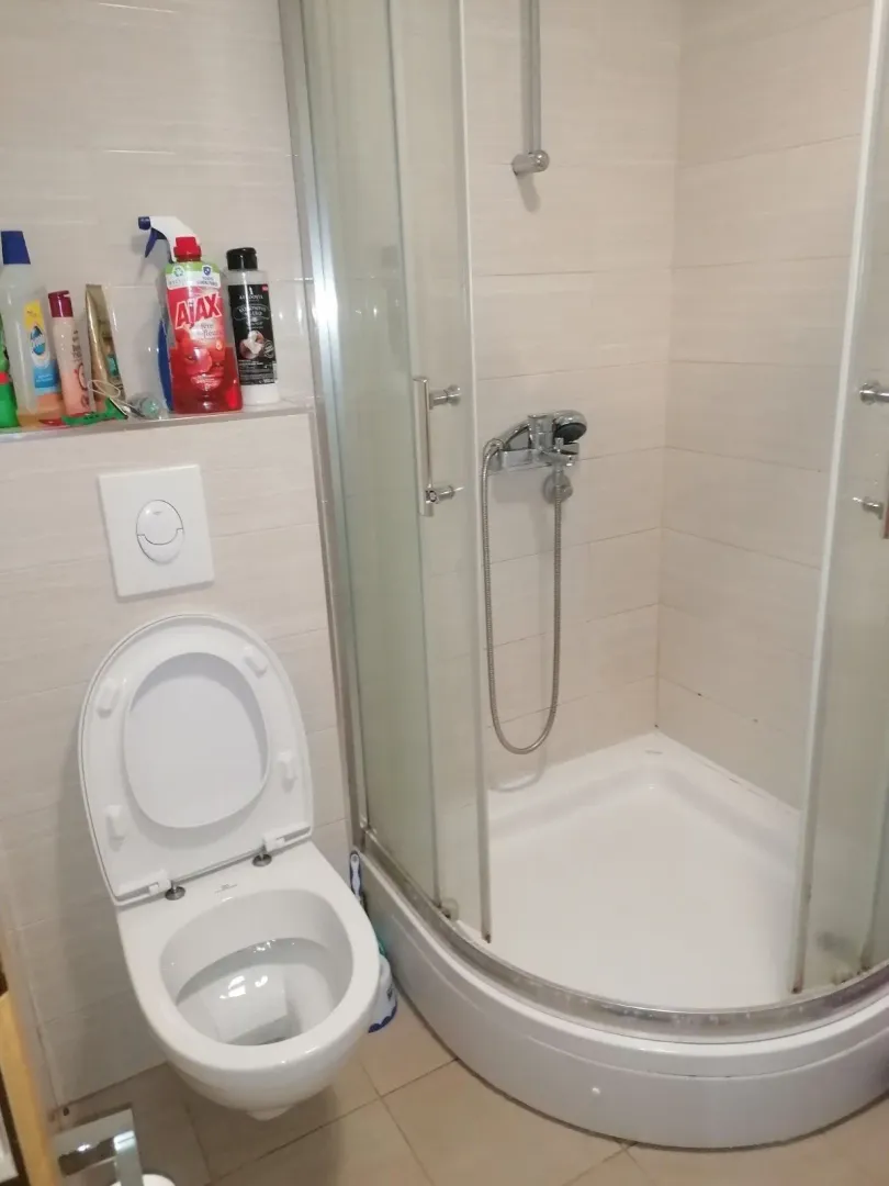Kupatilo sa tuš kabinom i toaletom.