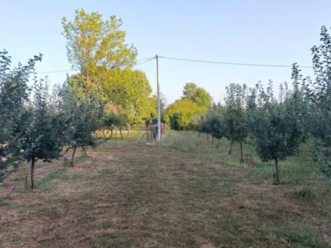 Sale, land lot, 3800m², Martinići, Danilovgrad - image 3