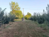 Sale, land lot, 3800m², Martinići, Danilovgrad - image 3