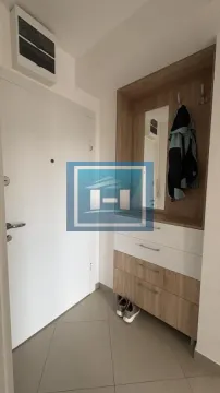Izdavanje, jednosoban stan, 44m², Centar, Jagodina - image 7