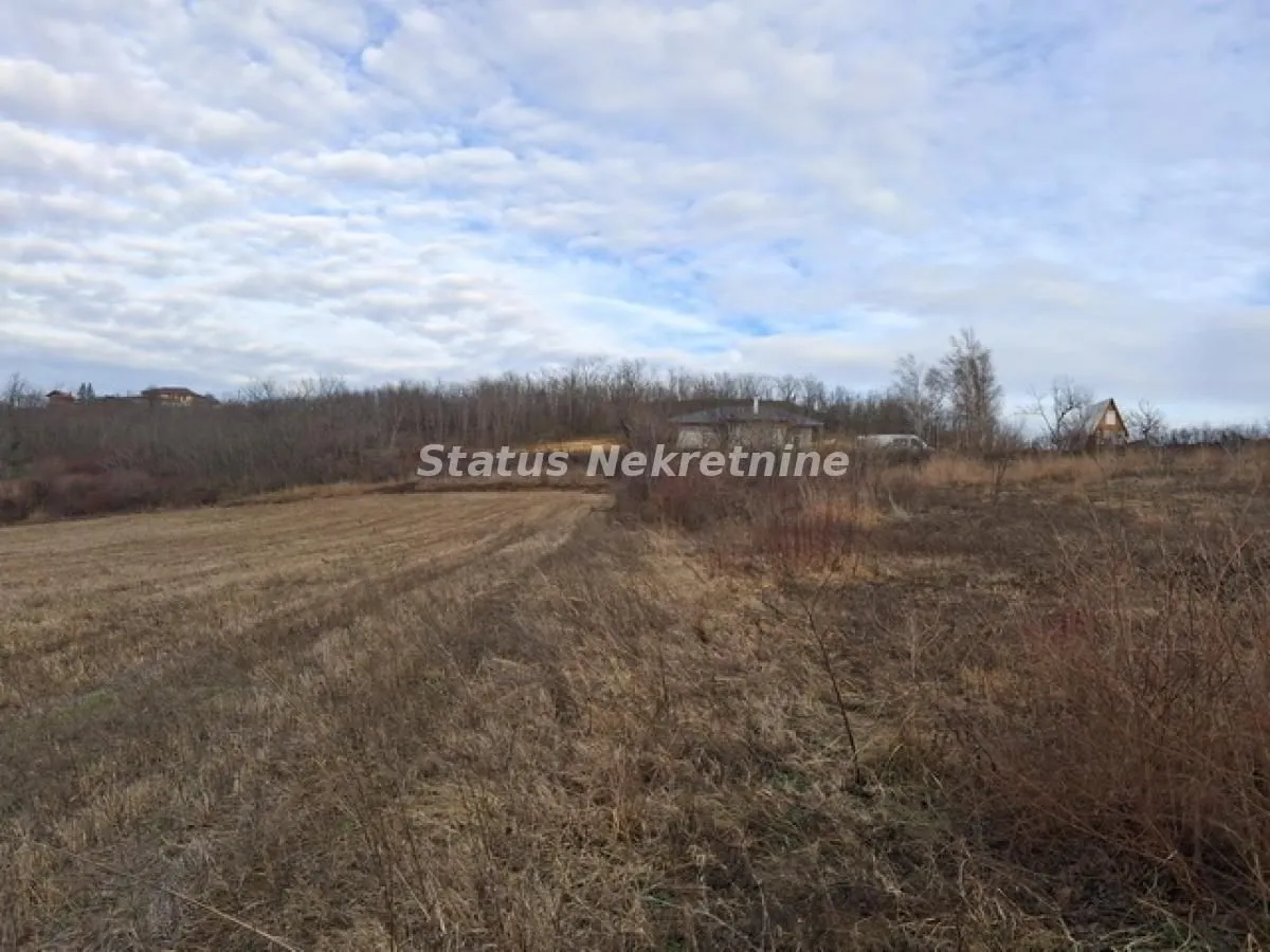 Prodaja, plac, 14994m², Ledinci, Petrovaradin