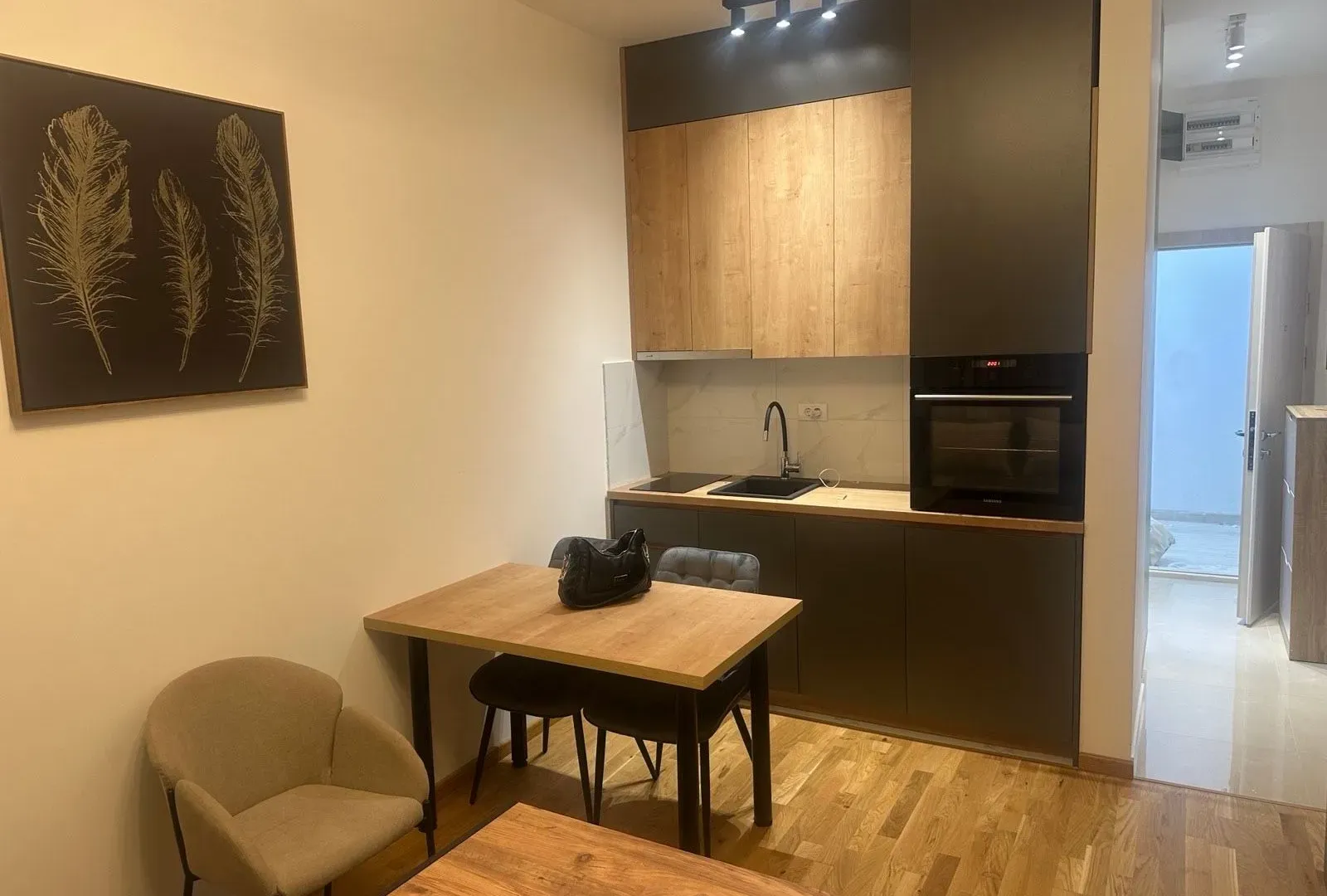 Izdavanje, garsonjera, 25m², Zabjelo, Podgorica