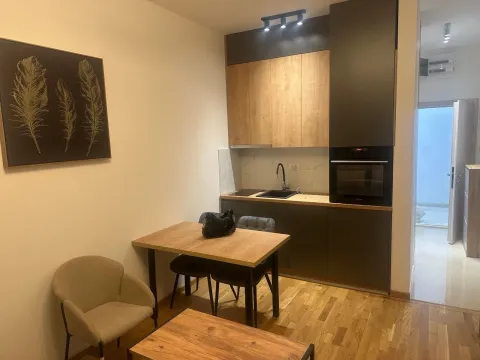 Izdavanje, garsonjera, 25m², Zabjelo, Podgorica - image 4