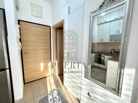 Izdavanje, jednosoban stan, 40m², Ljubović, Podgorica - image 12