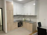 Izdavanje, jednosoban stan, 48m², Stari Aerodrom, Podgorica - image 5