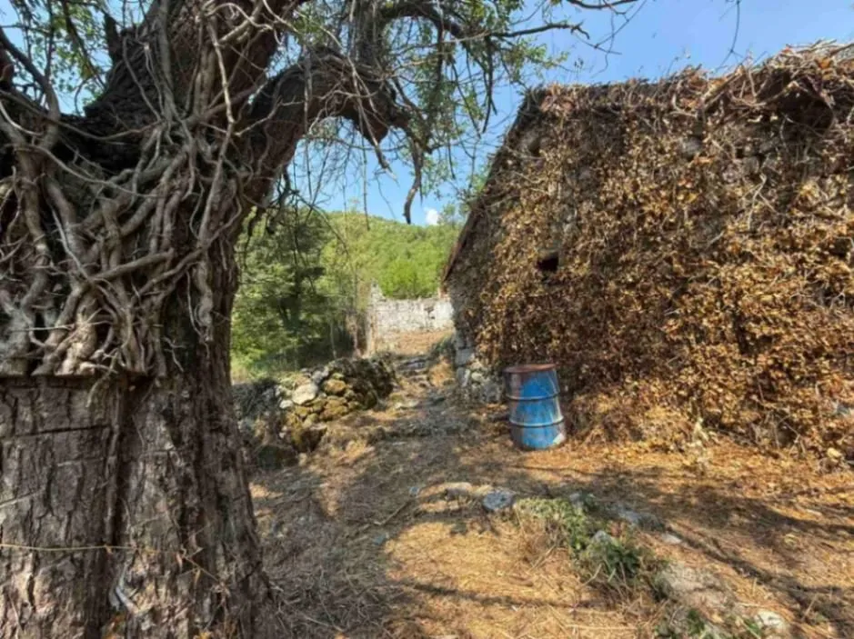 Prodaja, plac, 10001m², Cetinje, Crna Gora