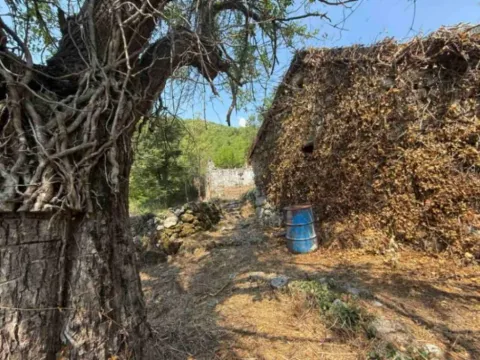 Sale, land lot, 10001m², Cetinje, Crna Gora