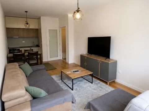 Rent, one bedroom apartment, 47m², Central Point, Podgorica - image 2