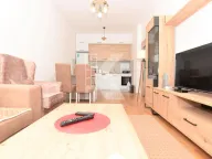 Izdavanje, jednosoban stan, 44m², Ljubović, Podgorica - image 4