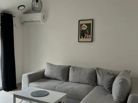 Rent, one bedroom apartment, 45m², Zagorič, Podgorica - image 3