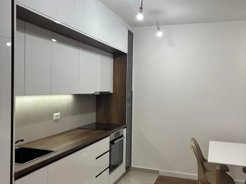 Rent, one bedroom apartment, 65m², Stari Aerodrom, Podgorica - image 2
