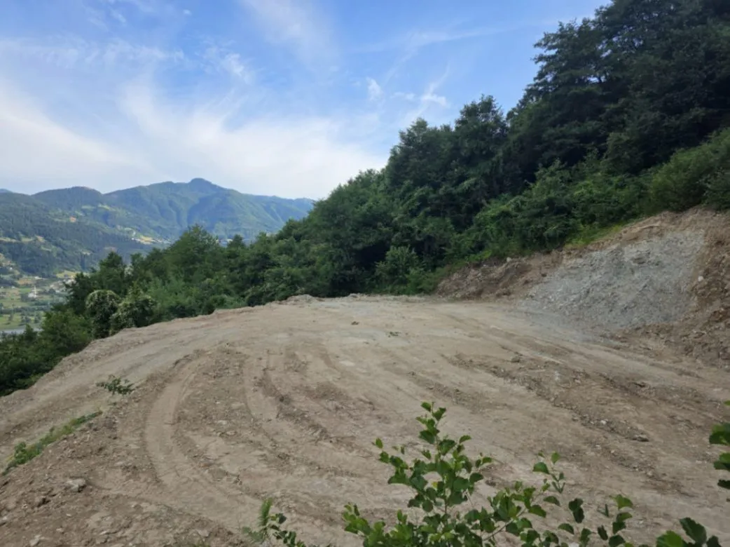 Prodaja, plac, 8500m², Plav, Crna Gora