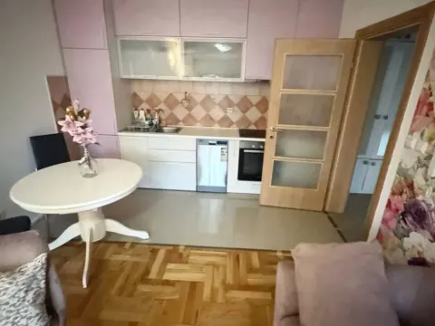 One Bedroom Apartment for Rent, 45m2, Stari Aerodrom, Podgorica