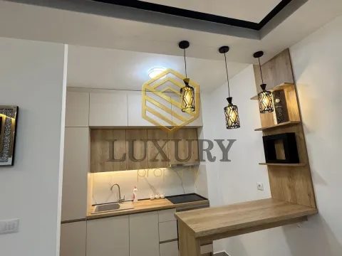 Izdavanje, jednosoban stan, 52m², Zagorič, Podgorica - image 8