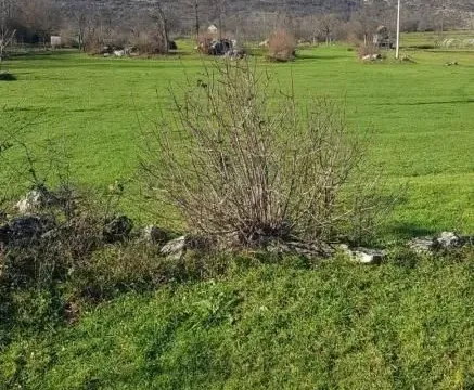 Prodaja, plac, 25300m², Nikšić, Crna Gora