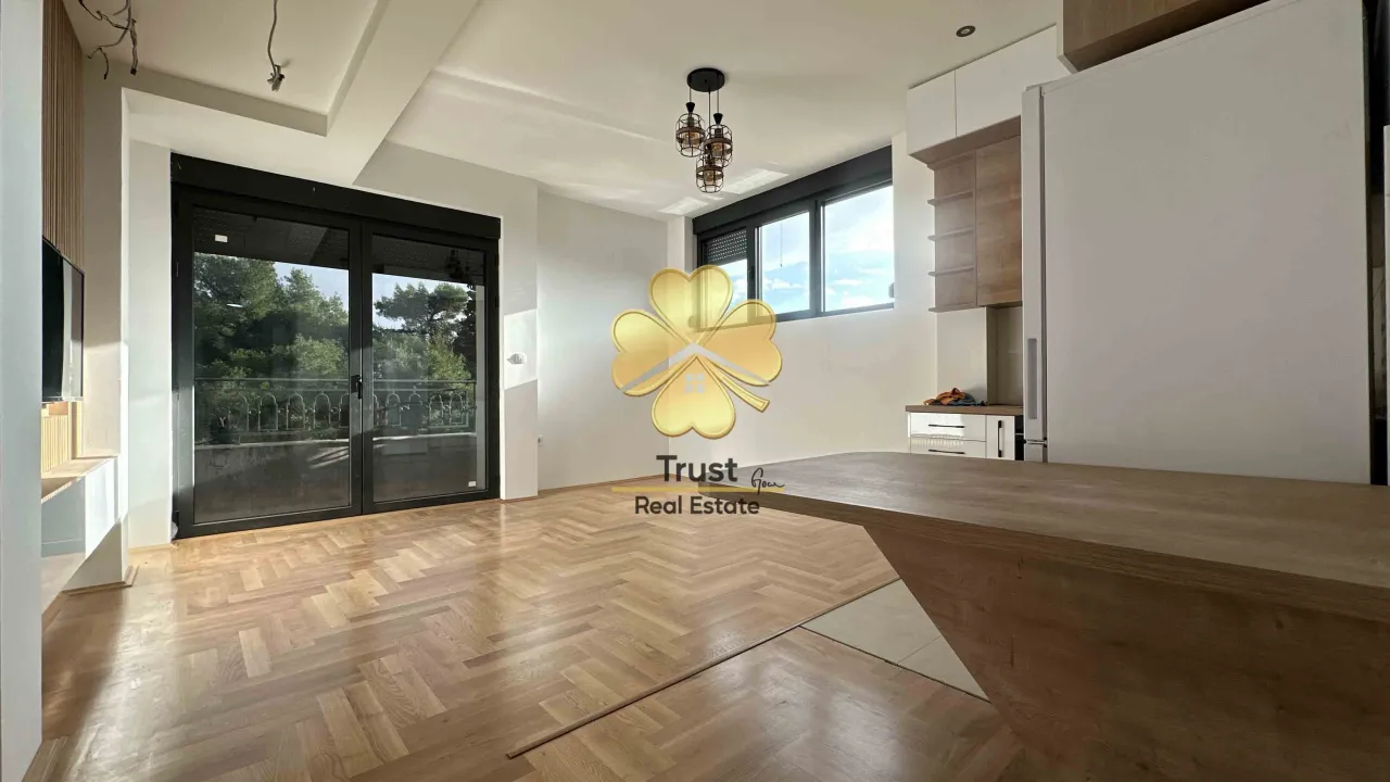 Rent, one bedroom apartment, 45m², Masline, Podgorica