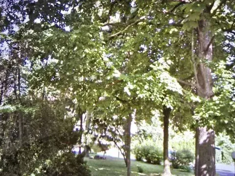 Izdavanje, trosoban stan, 100m², Savski Venac, Beograd - image 3