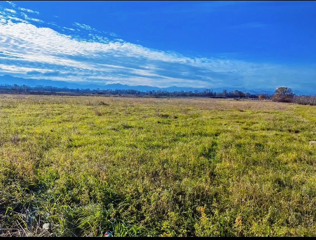 Prodaja, plac, 14618m², Mataguži, Podgorica