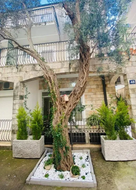 Rent, one bedroom apartment, 40m², Petrovac, Budva
