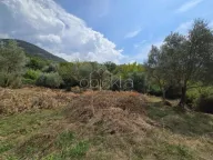 Prodaja,  zemljište, 3209m2, Sutvara, Kotor