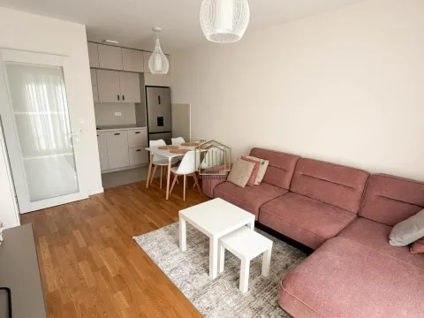 Rent, one bedroom apartment, 39m², Zabjelo, Podgorica - image 1