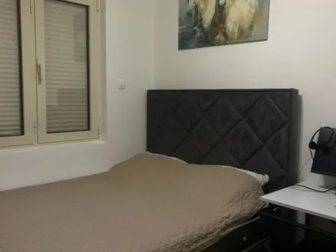 Izdavanje, jednosoban stan, 41m², Velji Vinogradi, Budva - image 4