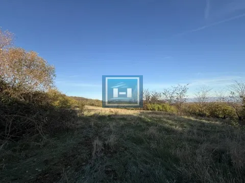 Sale, house, 250m², Crnče, Jagodina - image 54