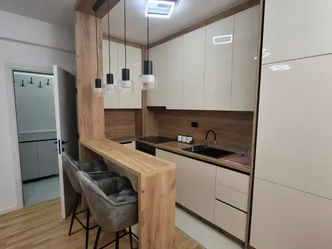 Izdavanje, jednosoban stan, 70m², Stari Aerodrom, Podgorica - image 4