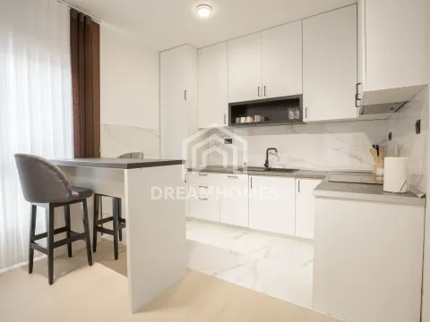 Rent, one bedroom apartment, 53m², Krivi Most, Podgorica - image 3
