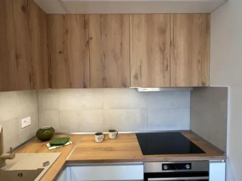 Rent, one bedroom apartment, 42m², Novo naselje, Novi Sad - image 12