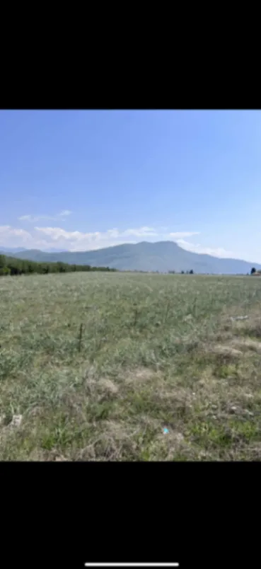 Izdavanje, plac, 10000m², Tuzi, Podgorica