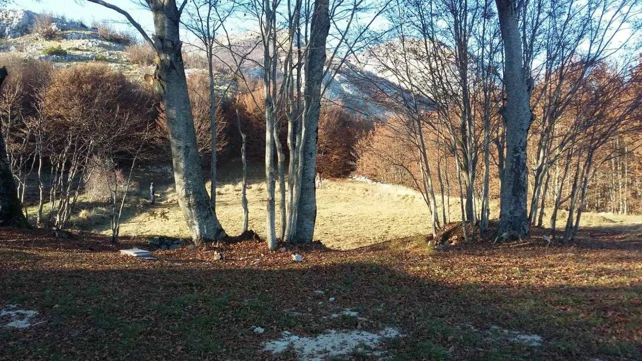 Prodaja, plac, 3002m², Cetinje, Crna Gora