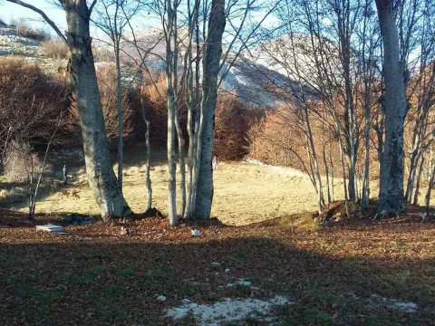 Prodaja, plac, 3002m², Cetinje, Crna Gora - image 9