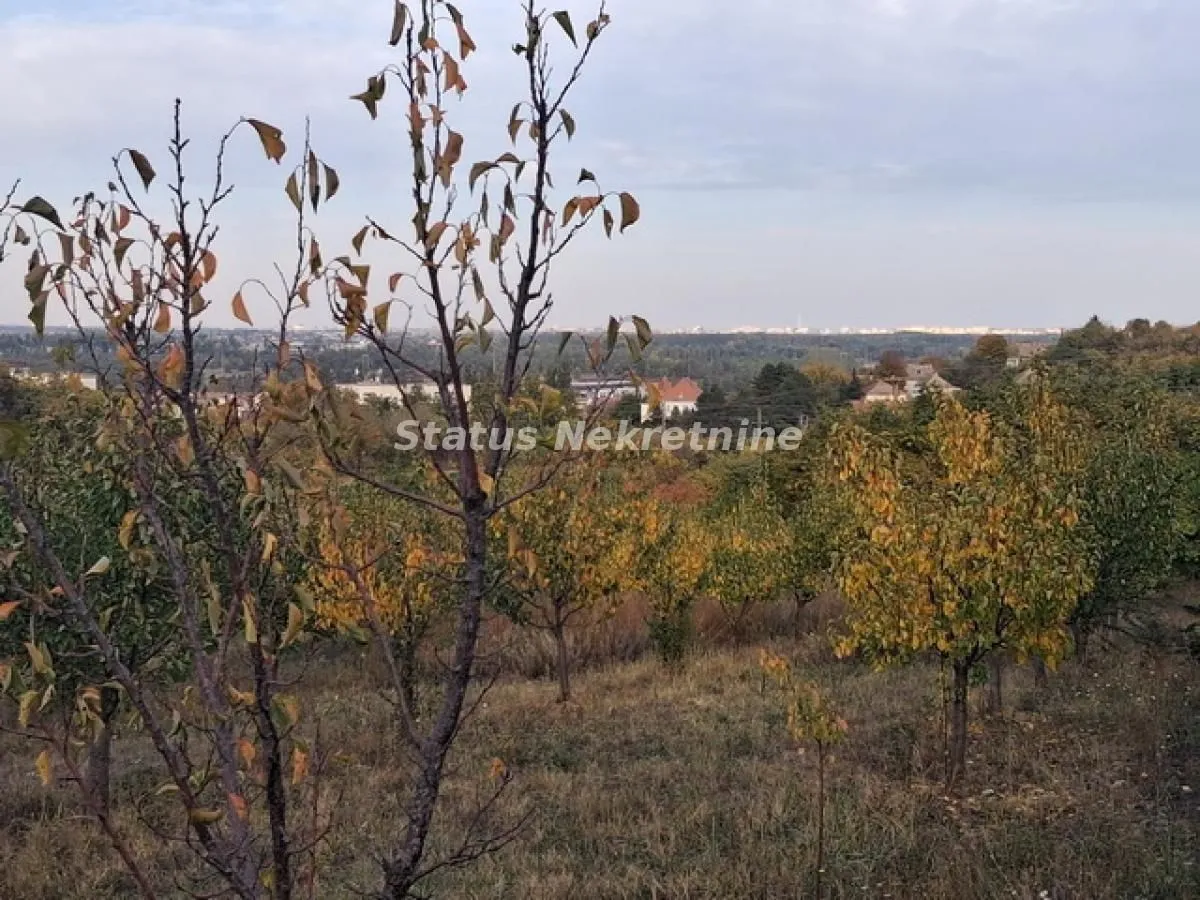 Prodaja, plac, 7500m², Beočin, Srbija