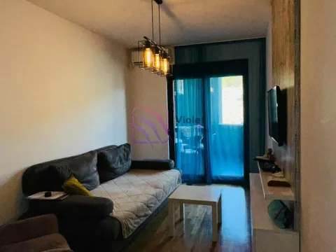 Rent, apartment, 45m², Vezirov Most, Podgorica - image 4