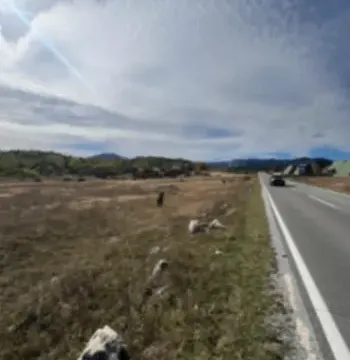 Sale, land lot, 45556m², Borje, Žabljak - image 10