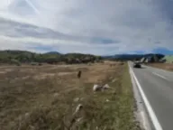 Prodaja, plac, 45556m², Borje, Žabljak - image 10