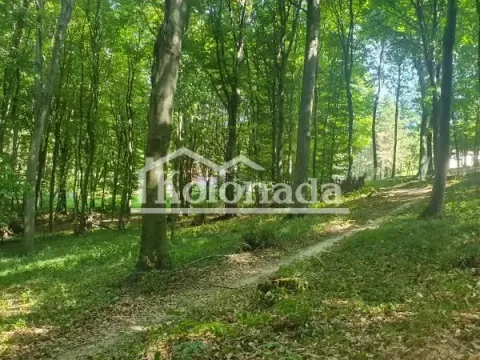 Prodaja, plac, 15600m², Sopot, Beograd - image 2