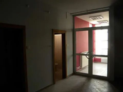 Izdavanje, poslovni prostor, 500m², Bezanijska Kosa 1, Bežanijska Kosa Sve Podlokacije - image 4