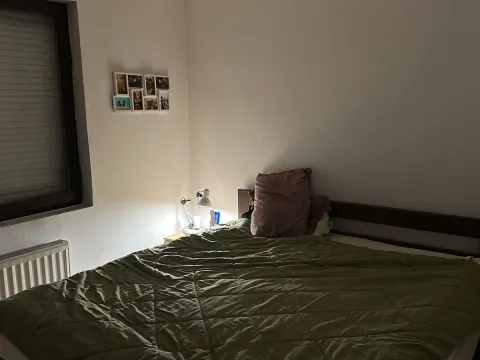 Sale, house, 256m², Bukovička Banja, Arandjelovac - image 10