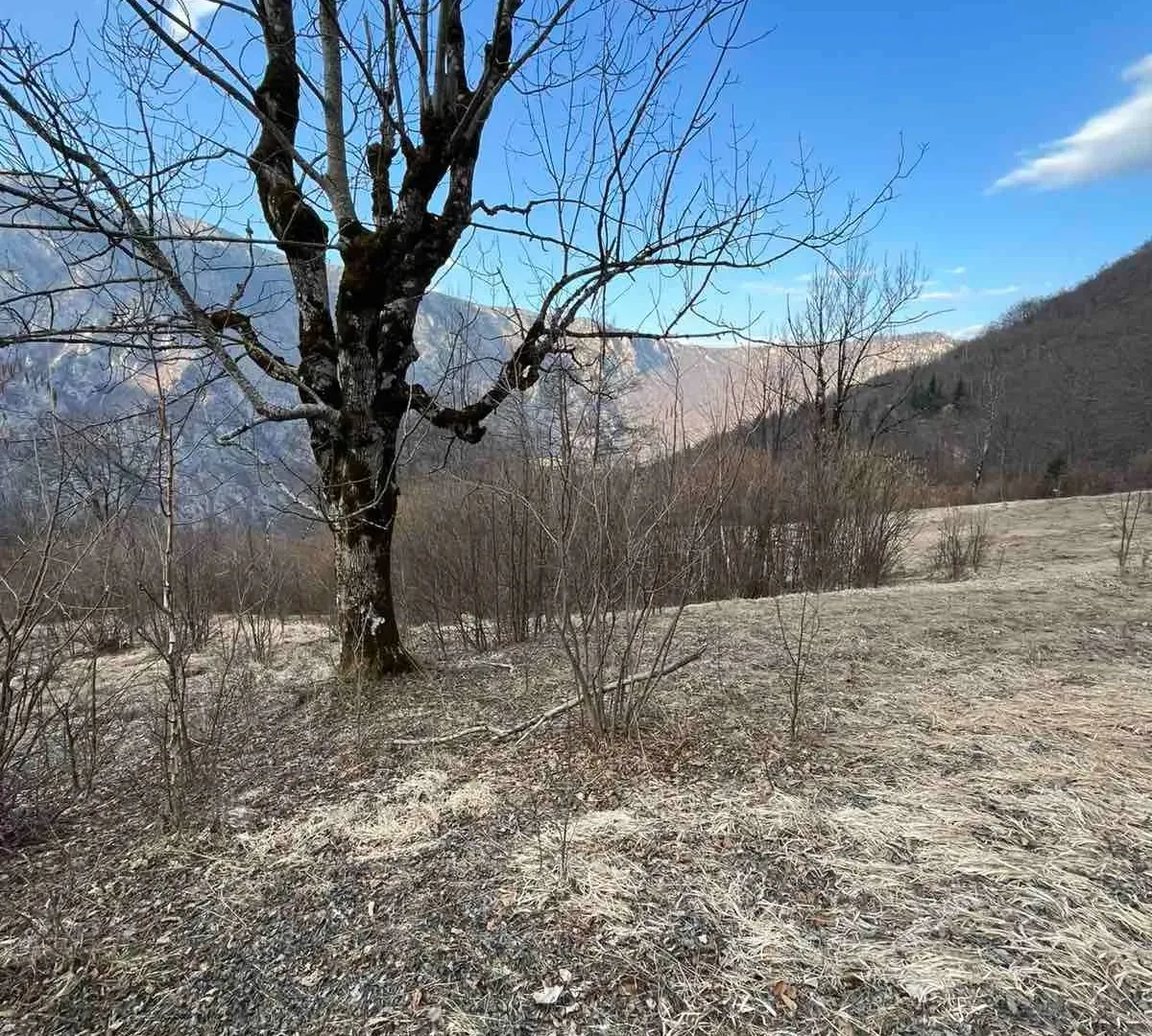 Prodaja, plac, 3500m², Nadgora, Žabljak
