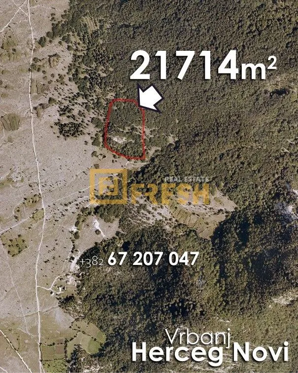 Prodaja, plac, 21714m², Herceg Novi, Crna Gora