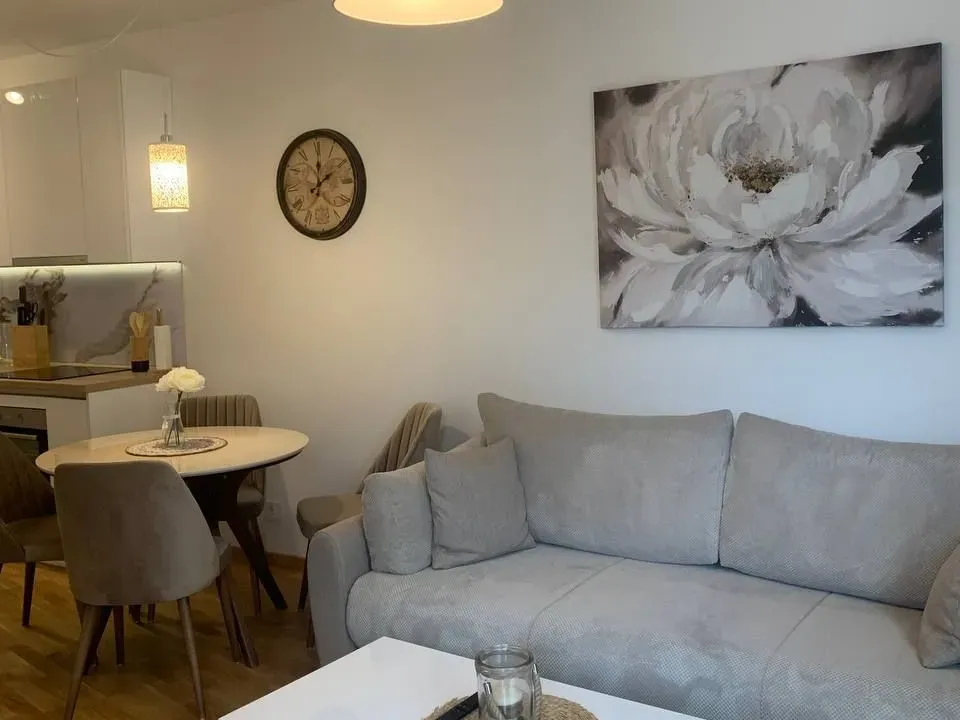 Izdavanje, jednosoban stan, 45m², Bečići, Budva