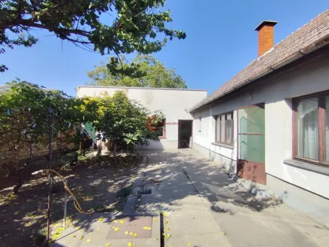 Pogled na popločano dvorište sa zelenilom i pomoćnim objektom. - image 3