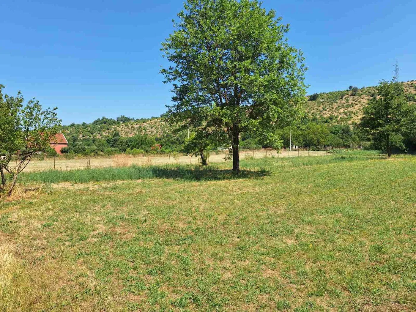 Prodaja, plac, 4751m², Donji Martinići, Danilovgrad