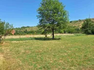Sale, land lot, 4751m², Donji Martinići, Danilovgrad - image 5